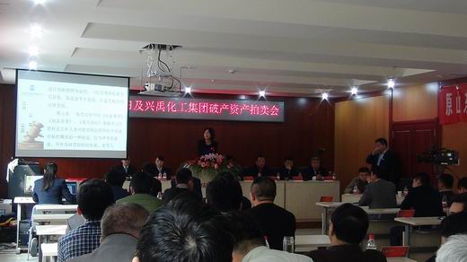 禹城破产资产拍卖会2