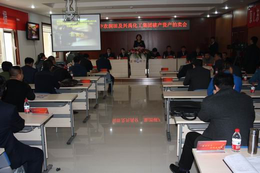 禹城破产资产拍卖会3