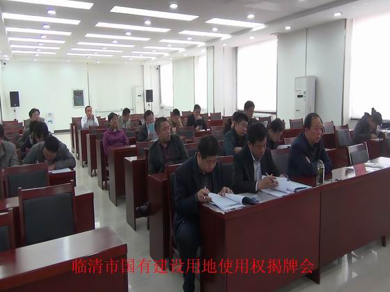 临清土地使用权揭牌会